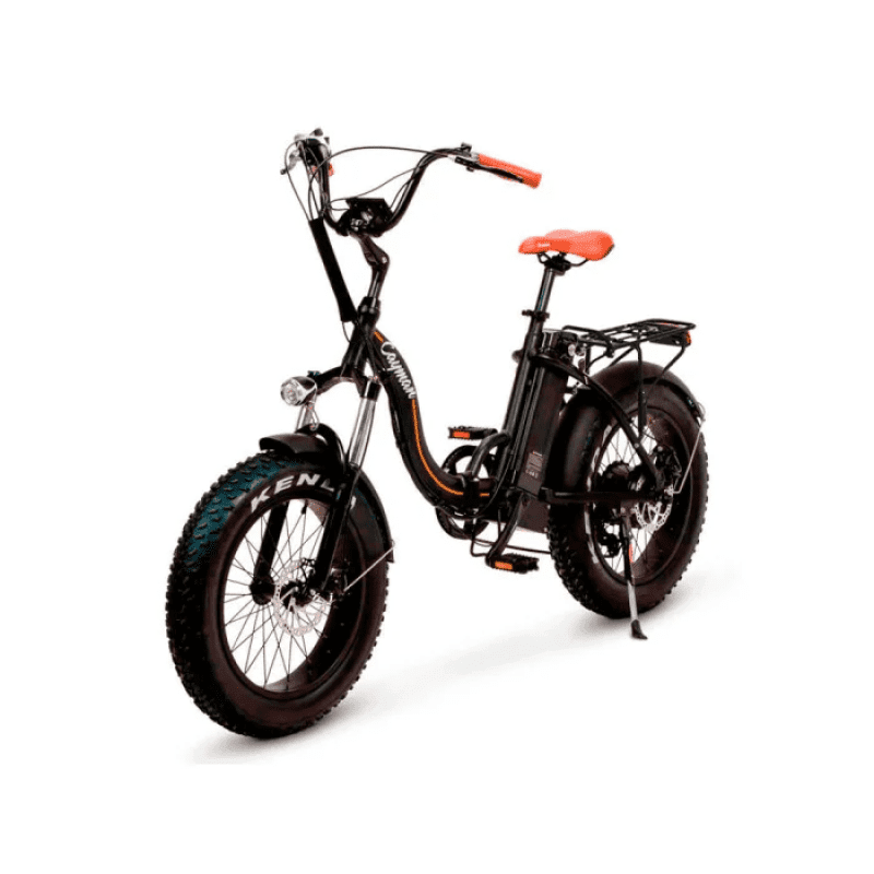 ImageToStl.com_83-min-800x800 Електро фетбайк Cayman 500W 48V 14.5Ah 20" - Зображення 1