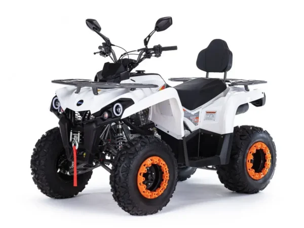 Квадроцикл MOTAX ATV Grizlik 200 200cc (Автомат, 4×2, CVT)