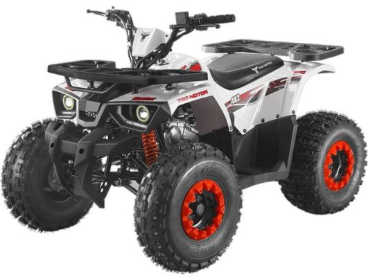Квадроцикл FORTE ATV125 Hunter 125cc (Автомат, 4×2, Дитячий)